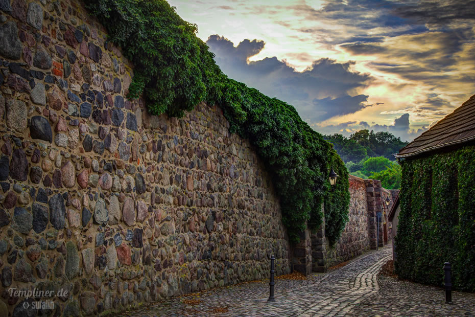 Stadtmauer Templin mit Efeu-Bewuchs am Abend