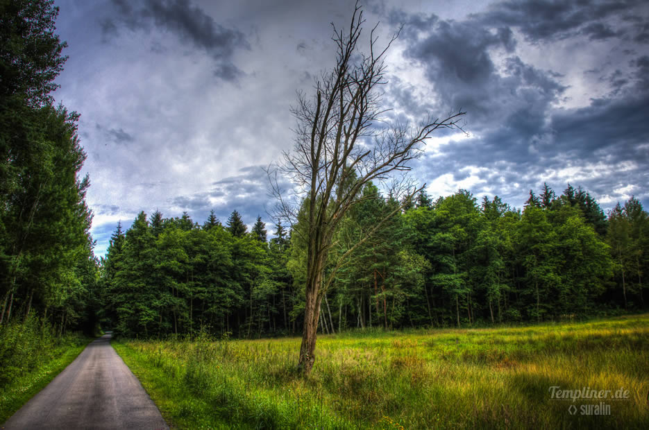 von Templin nach Lychen