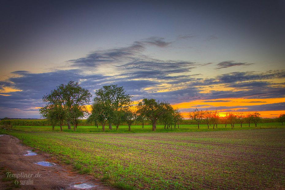 Sonnenuntergang bei Templin an der L23 Richtung Densow