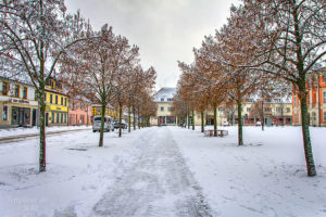 Baum-"Gasse" auf dem Templiner Marktplatz mit zarter Schneedecke