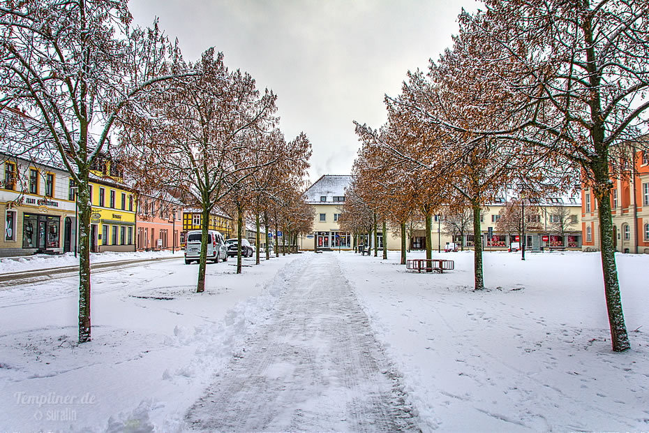 Baum-"Gasse" auf dem Templiner Marktplatz mit zarter Schneedecke