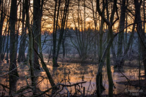 Morgenstimmung bei Sonnenaufgang in der Nähe des Lübbesees