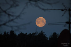 Die Ansicht des Mondes am Morgen des 1.2.2018 von Templin aus gesehen