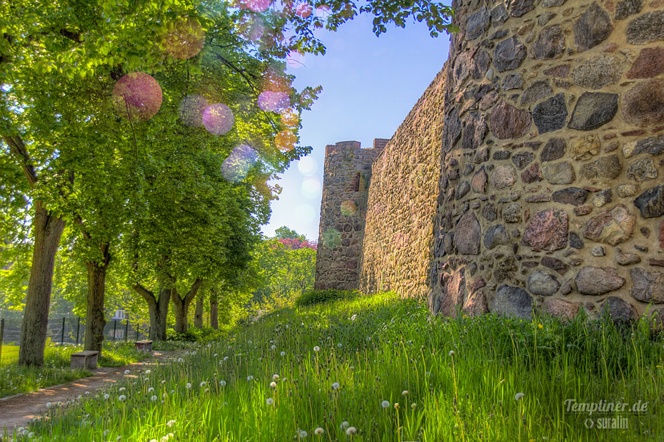 Wiese an der Stadtmauer