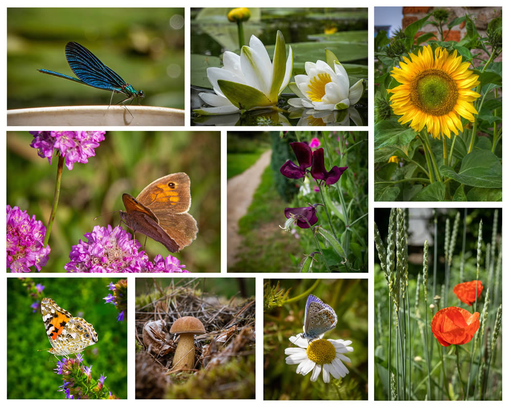 Naturbilder aus der Templiner Region