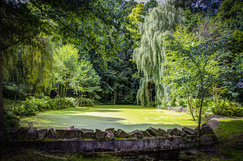 Teich im Bürgergarten Templin Teich im Bürgergarten Templin