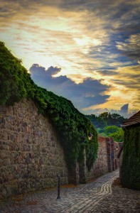 Stadtmauer Templin mit Efeu-Bewuchs